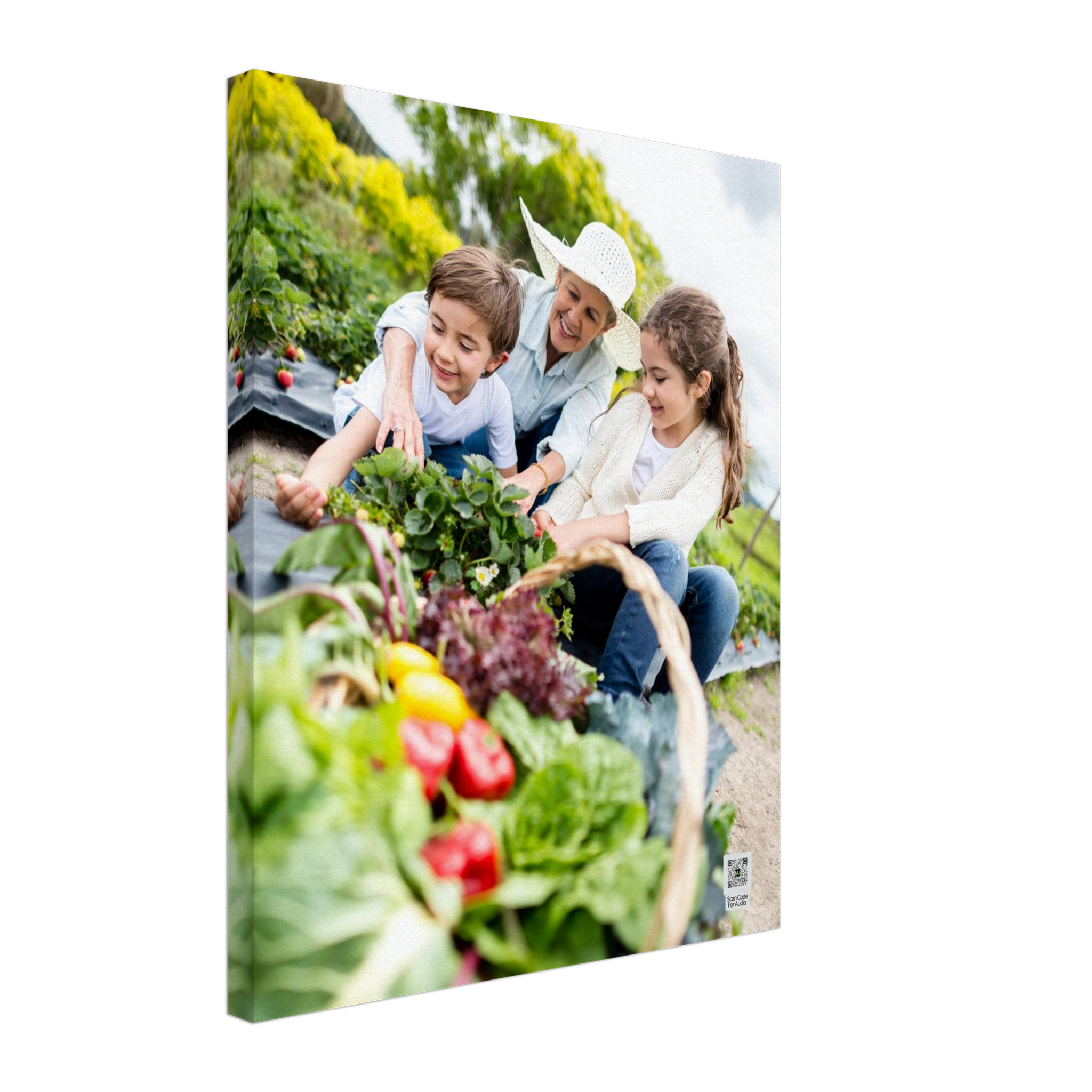 0be2d591-21fe-4d89-aca9-5d4bd64c539c