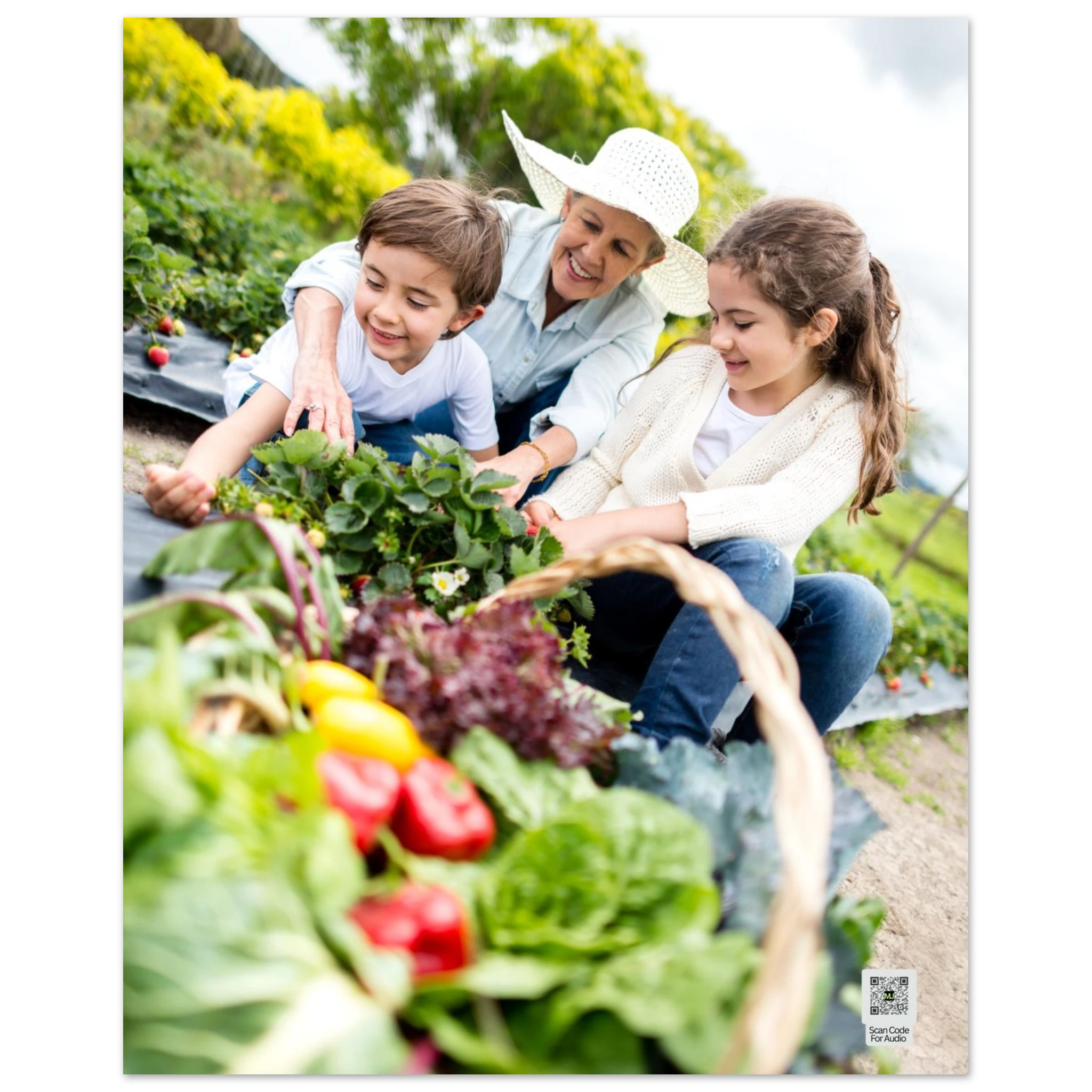 165a3c9d-f976-4733-8961-45afb9b2f51a