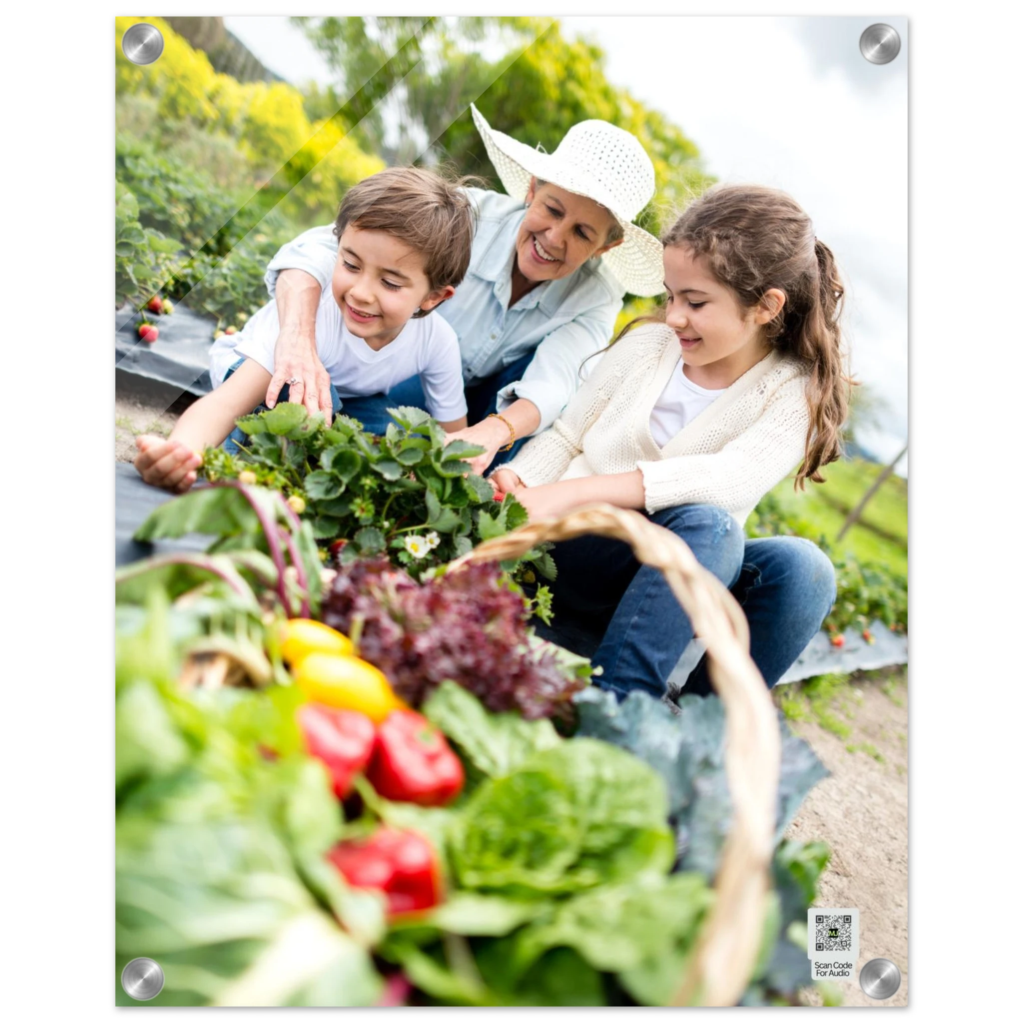 9d33623f-9977-4bc2-bb67-ec7a7df3d2d6