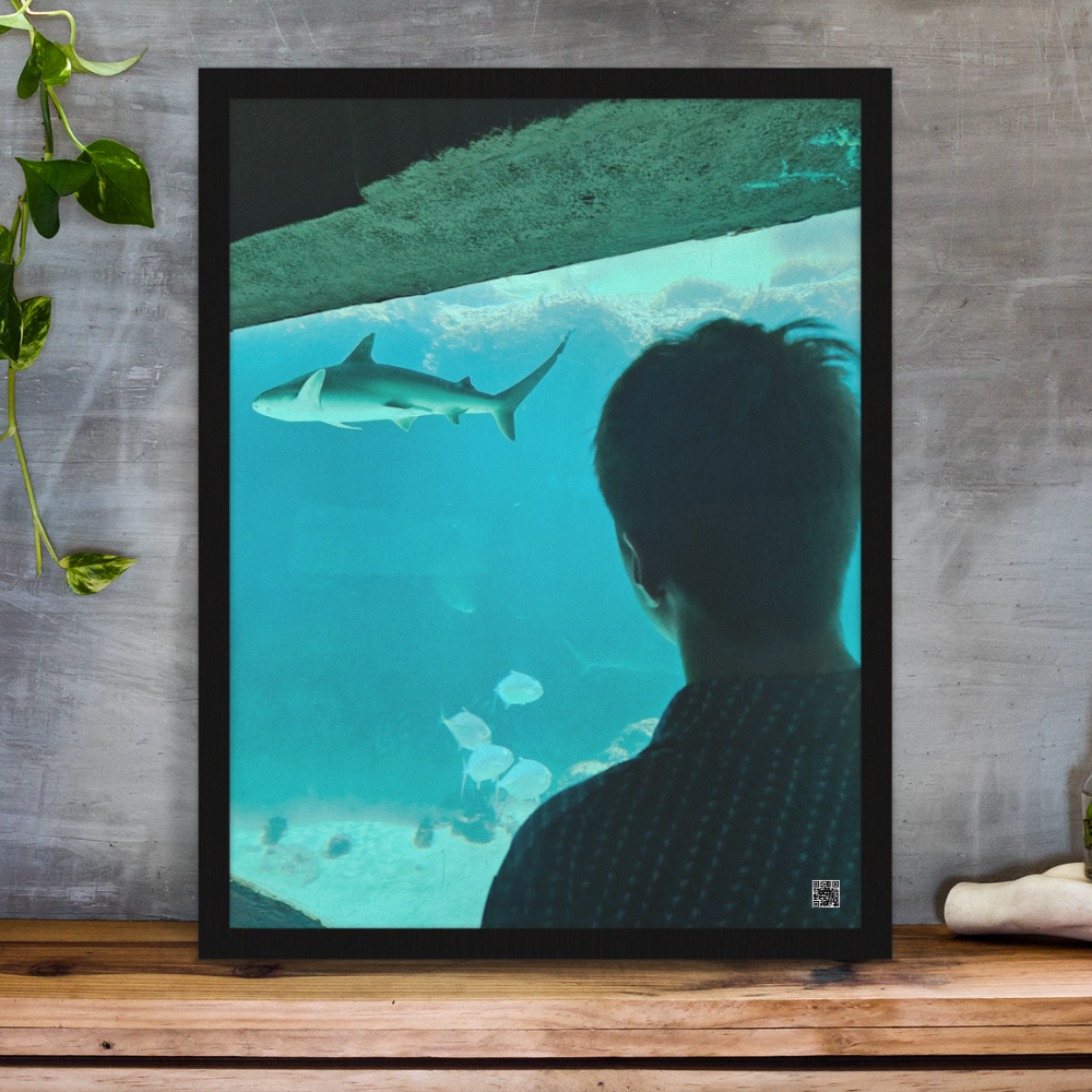 Large Framed Print with Audio 24"x32″