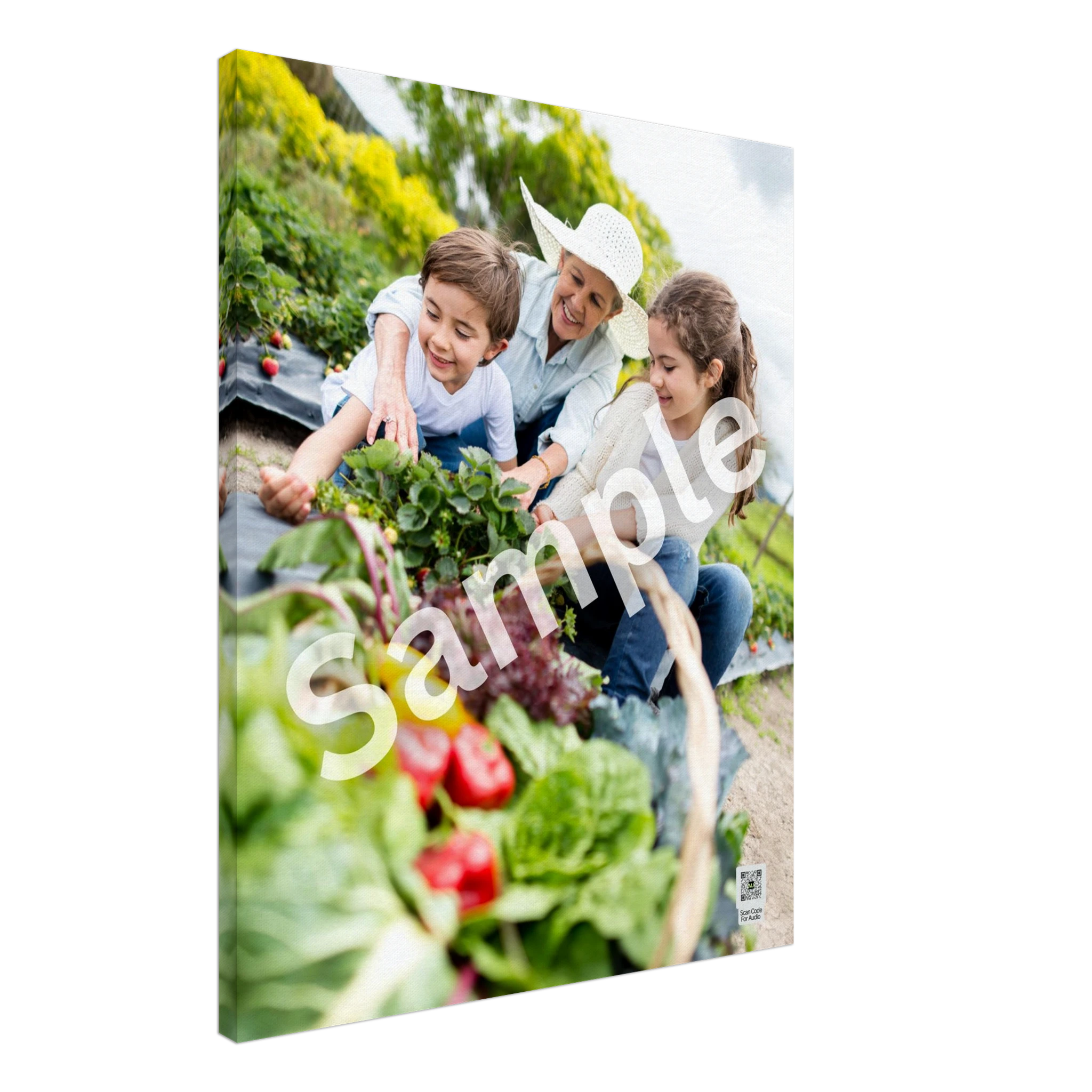 bc3b59d1-028e-4dec-998c-f26dc2d0b39c