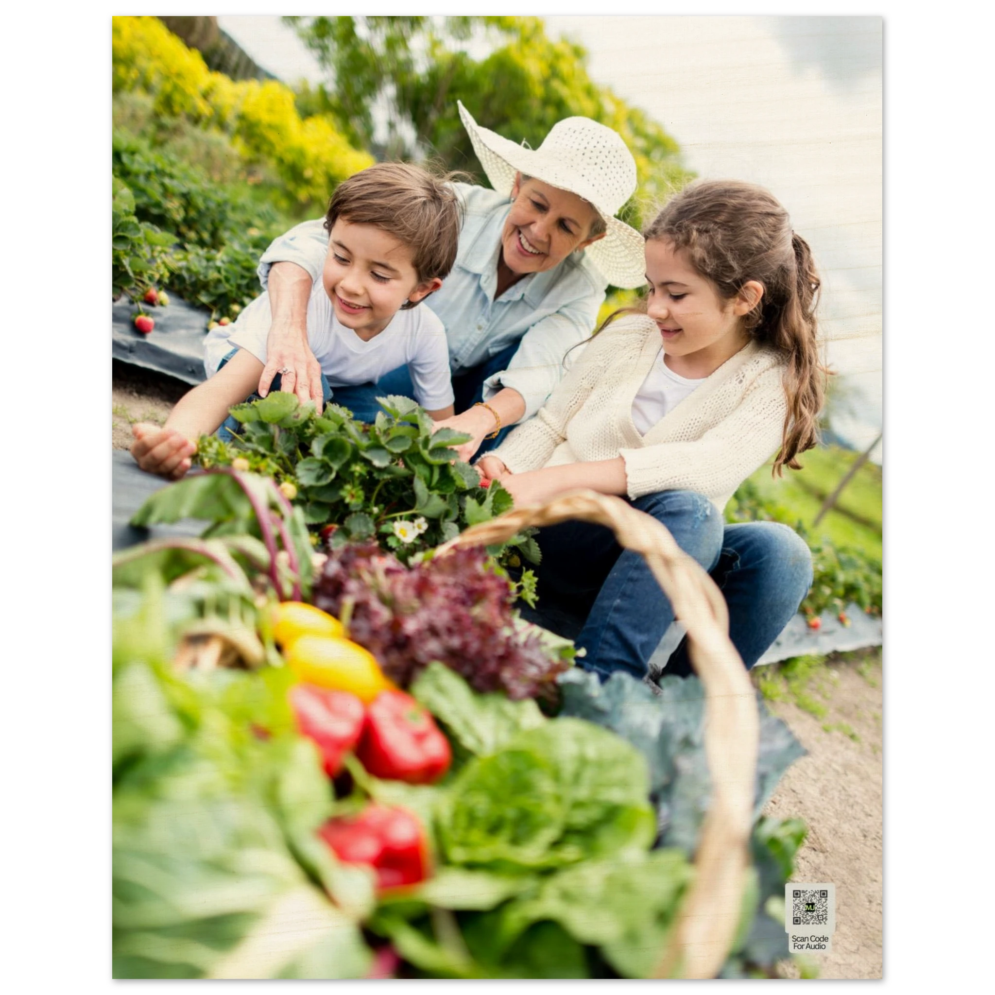 e2198d71-392c-4f42-9193-d5c347303b9a