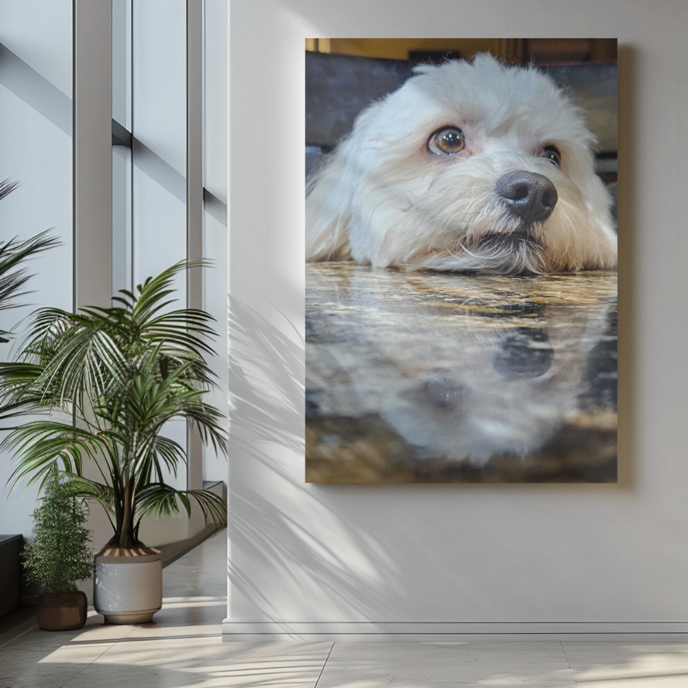 Foam Portrait with Audio 16x20