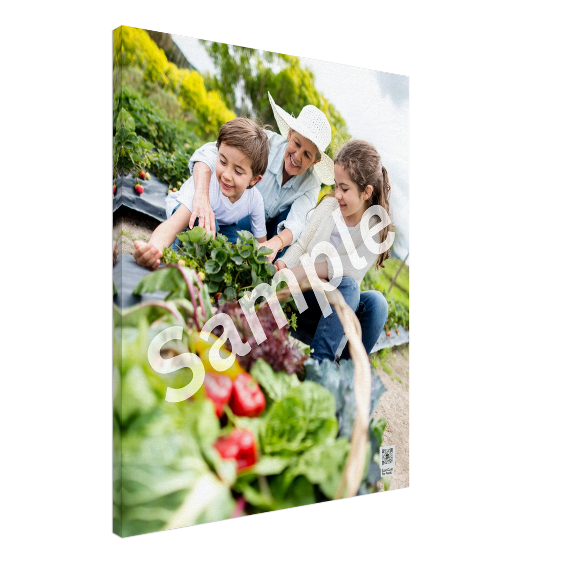 bc3b59d1-028e-4dec-998c-f26dc2d0b39c