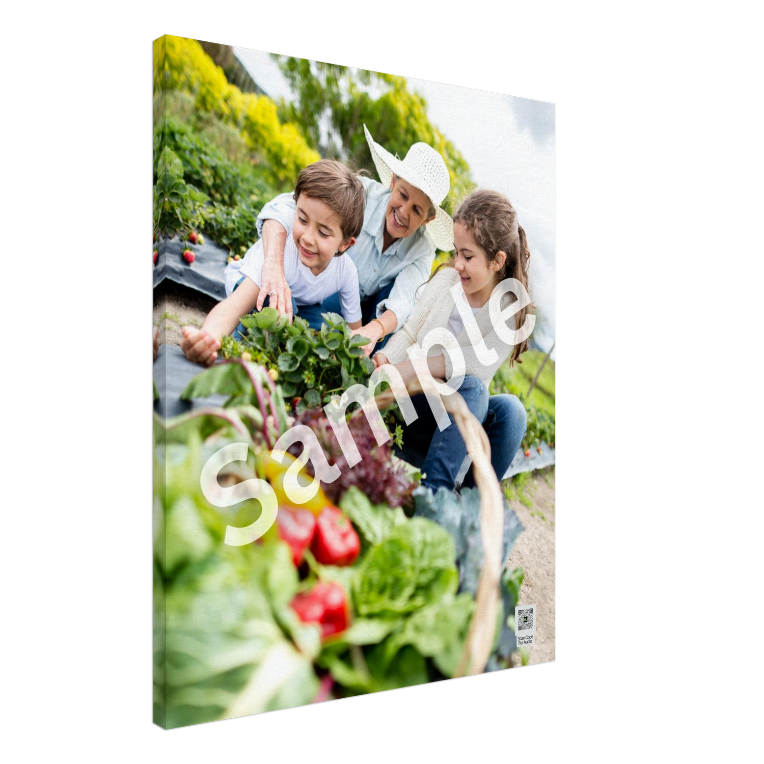 bc3b59d1-028e-4dec-998c-f26dc2d0b39c