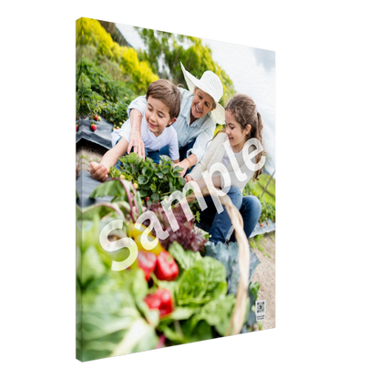 bc3b59d1-028e-4dec-998c-f26dc2d0b39c