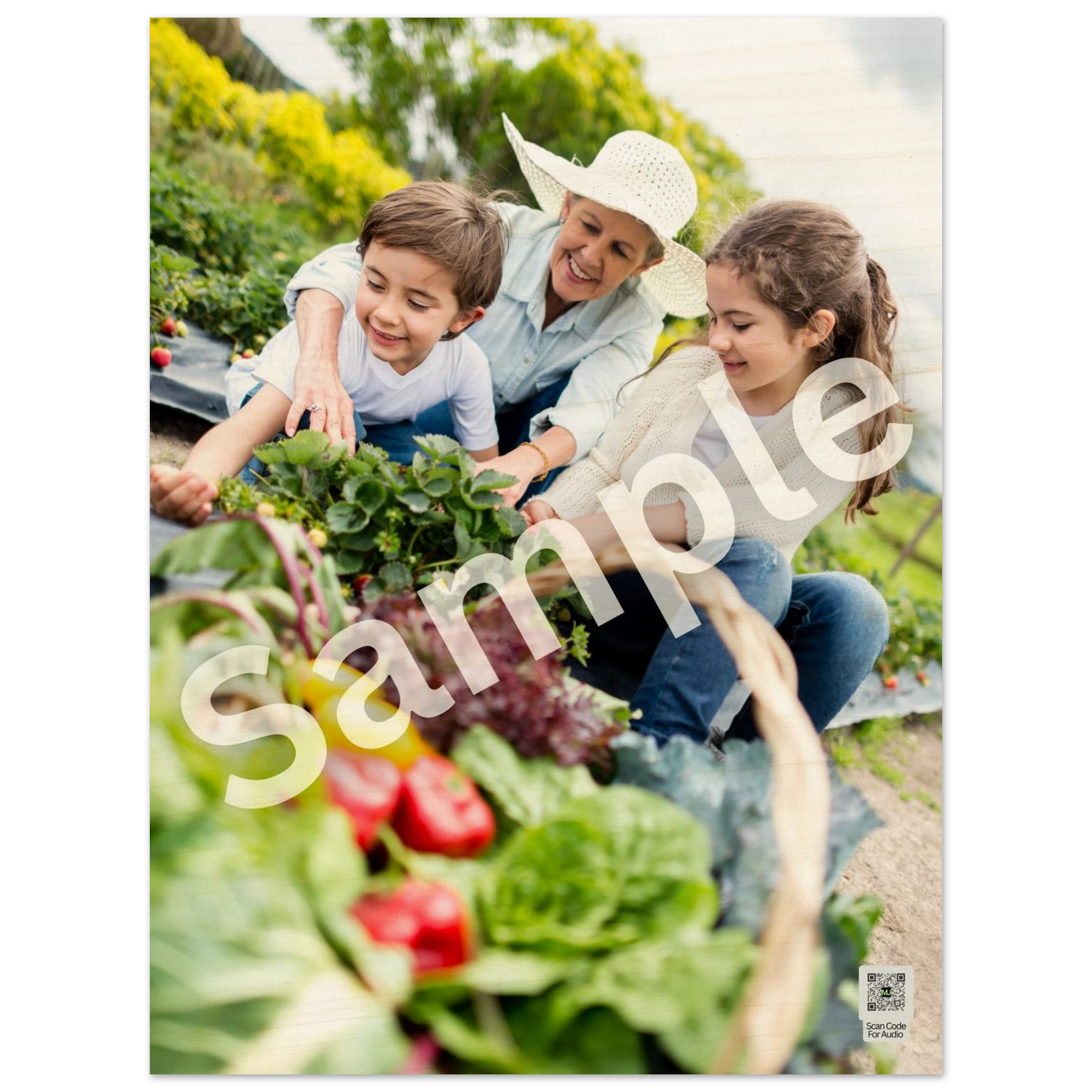 eb67b1ab-0273-4735-923b-30fb1daace2d