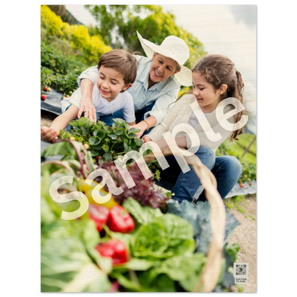 eb67b1ab-0273-4735-923b-30fb1daace2d